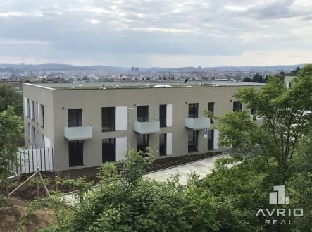 Pronájem bytu, 1+kk, 40 m²