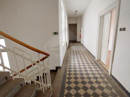Prodej - dům/vila, 564 m²
