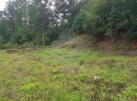 Prodej - pozemek pro bydlení, 2 290 m²