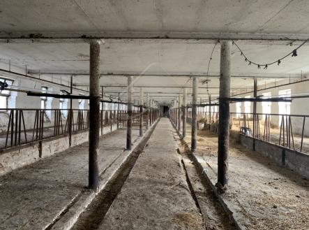 Prodej - pozemek pro bydlení, 1 691 m²