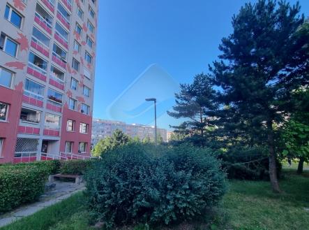 20250630-164429.jpg