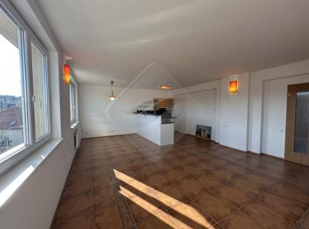 Prodej bytu, 6+1, 152 m²
