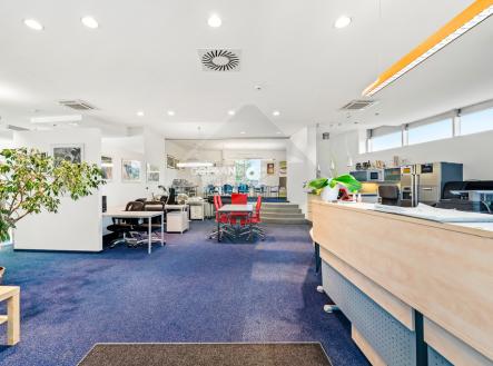 Prodej kanceláře, 234 m²