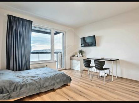 Pronájem bytu, 1+kk, 7 179 m²