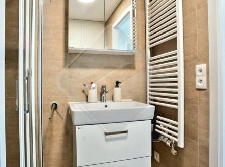 Pronájem bytu, 1+kk, 7 179 m²