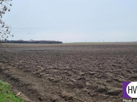 Prodej - pozemek, zemědělská půda, 14 648 m²