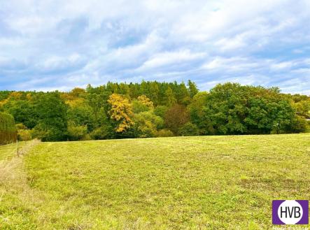 Prodej pozemku pro bydlení, 2 777 m²