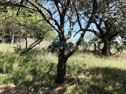 Prodej pozemku pro bydlení, 1 607 m²