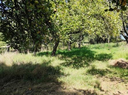 Prodej pozemku pro bydlení, 1 607 m²