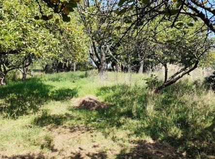 Prodej pozemku pro bydlení, 1 607 m²