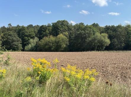 Prodej pozemku, zahrada, 12 939 m²