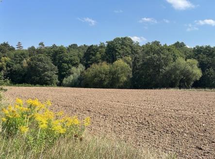 Prodej pozemku, zahrada, 12 939 m²