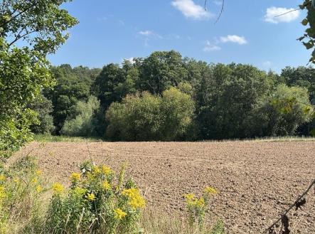 Prodej pozemku, zahrada, 12 939 m²