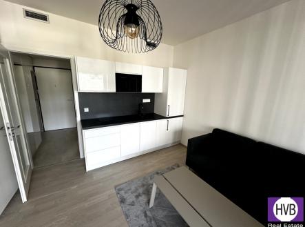 Pronájem bytu, 1+kk, 26 564 m² obrázek