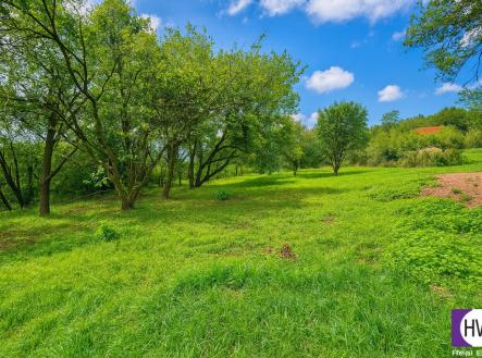 Prodej pozemku pro bydlení, 1 255 m²