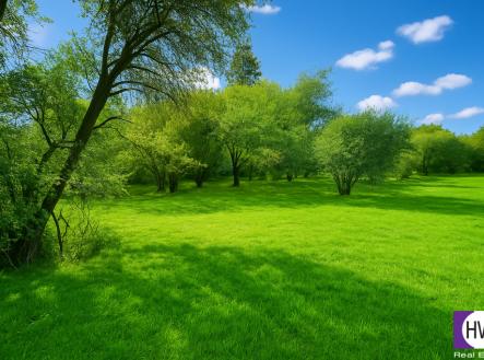 Prodej pozemku pro bydlení, 1 255 m²