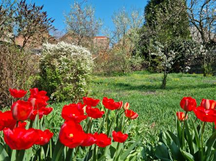 Prodej domu/vily, 187 m²