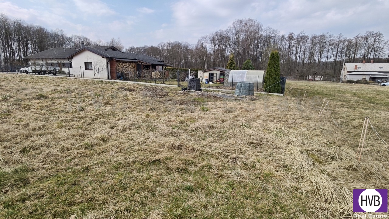 img-20260312-095605.jpg