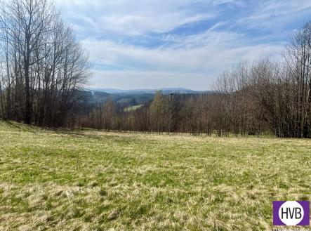 Pronájem - pozemek pro bydlení, 4 241 m²