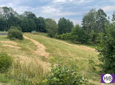 Pronájem pozemku pro bydlení, 4 241 m²