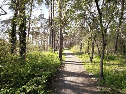 Prodej domu/vily, 174 m²