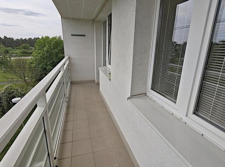 mvimg-20250601-161159.jpg