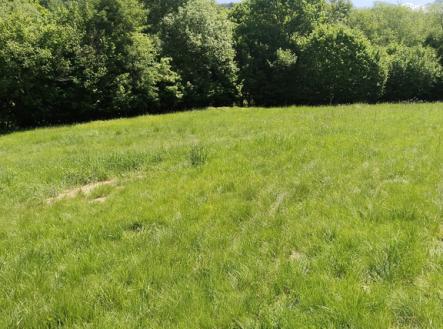 Prodej pozemku pro bydlení, 1 876 m²