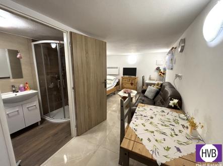 Pronájem bytu, 1+1, 70 m²