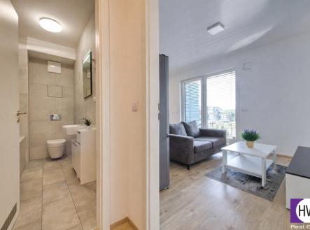 Pronájem bytu, 1+kk, 47 m²