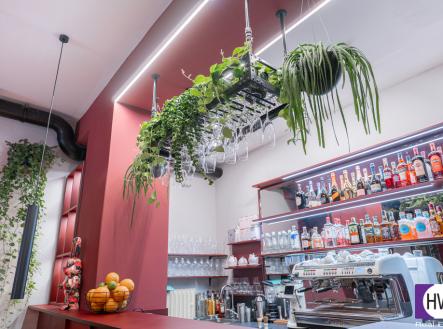 Pronájem restaurace, 81 m²