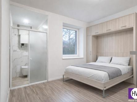 Pronájem bytu, 1+kk, 16 m²