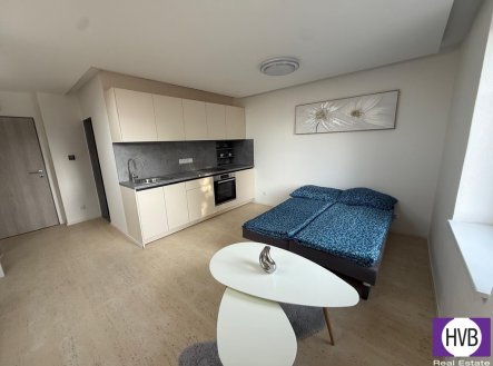 Prodej bytu, 1+kk, 24 m²
