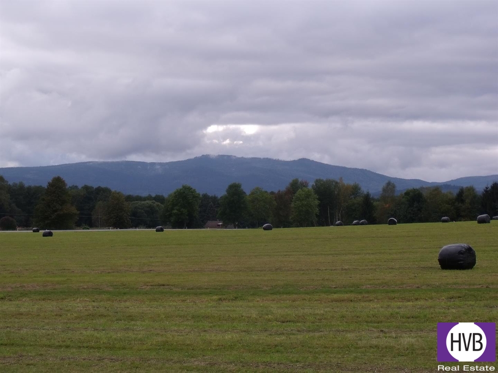 dscf0696.jpg