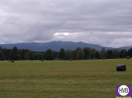 Prodej pozemku, ostatní, 3 860 m²