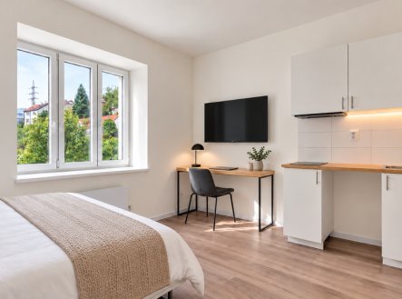 Prodej bytu, 1+kk, 17 m²
