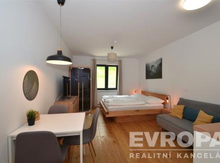 Prodej bytu, 1+kk, 35 m²