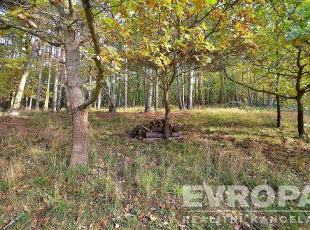 Prodej - pozemek pro bydlení, 2 330 m²