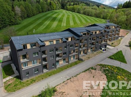 Prodej bytu, 2+kk, 44 m²