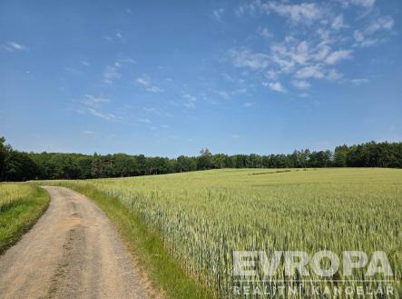 Prodej - pozemek, zemědělská půda, 53 749 m²