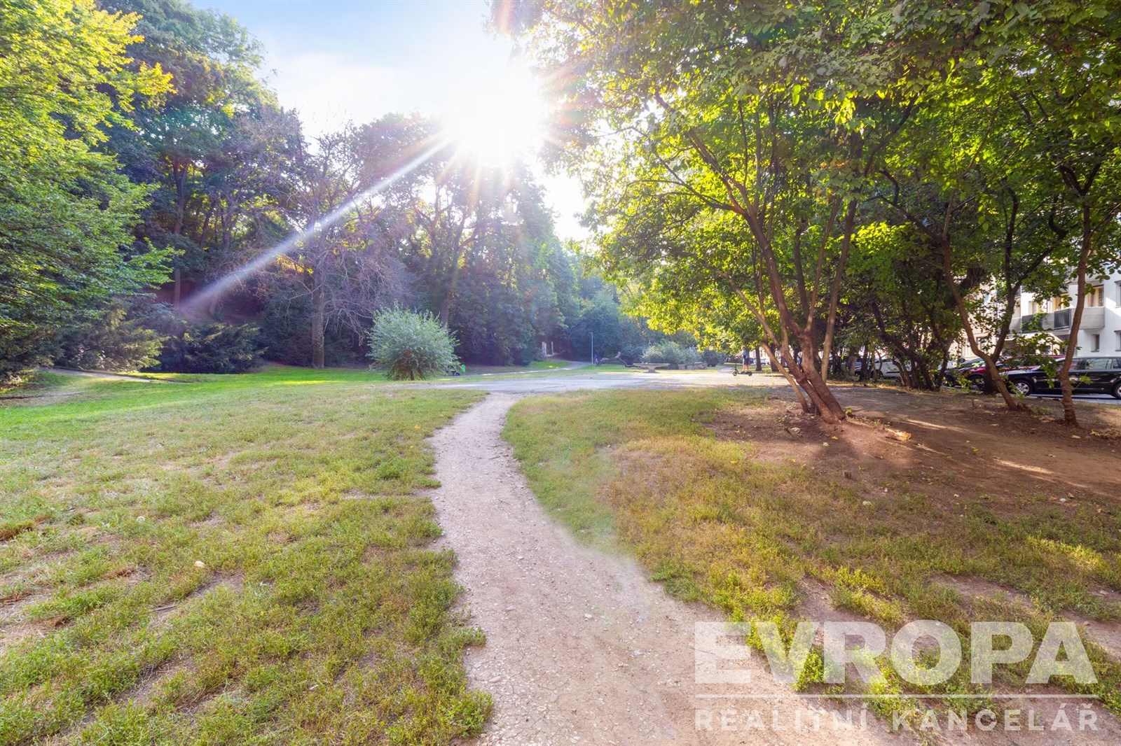 Fotku se nepodařilo načíst.