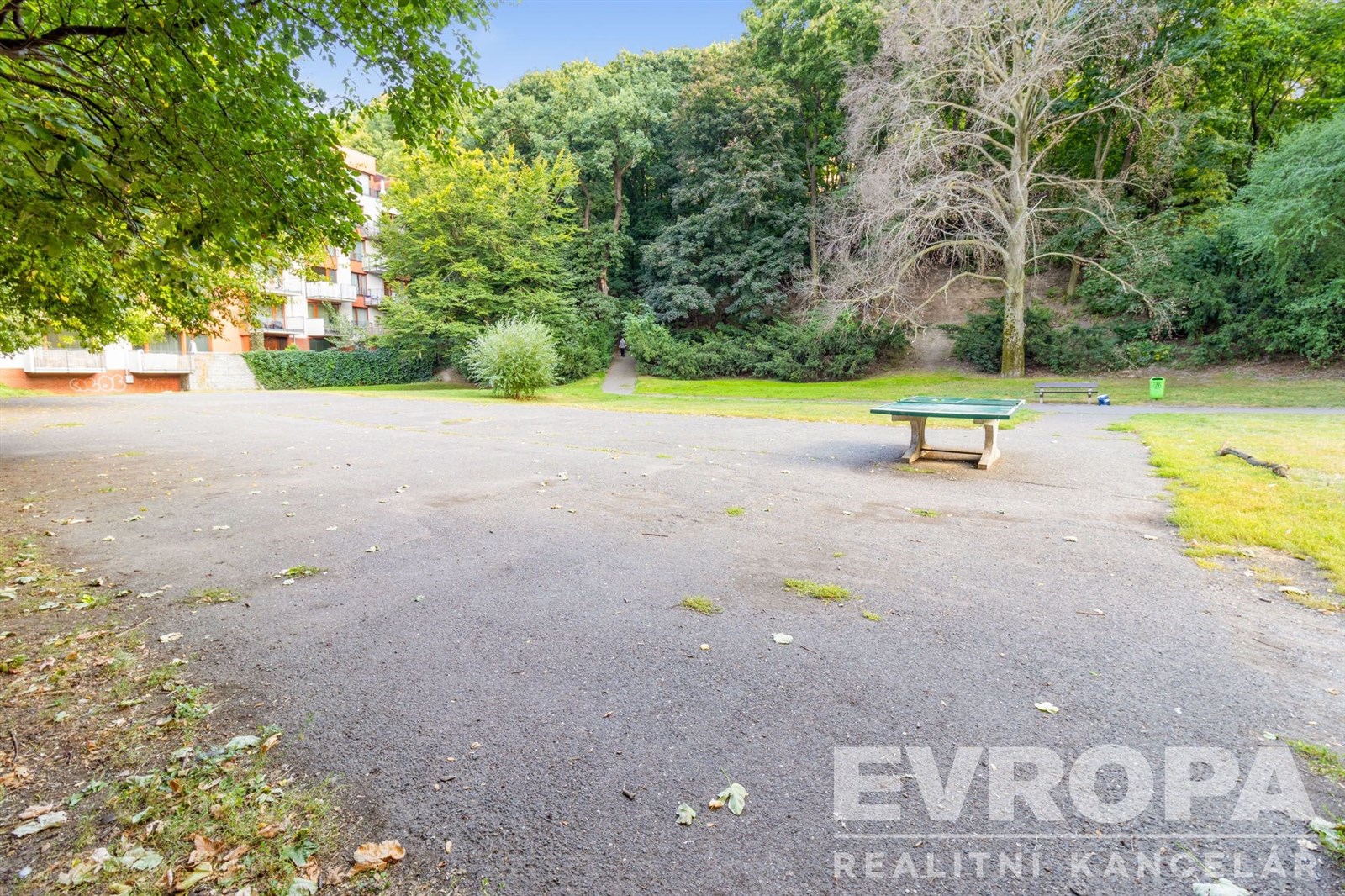 Fotku se nepodařilo načíst.