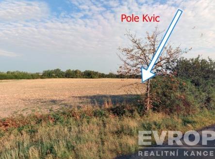 Prodej pozemku, zemědělská půda, 17 665 m²