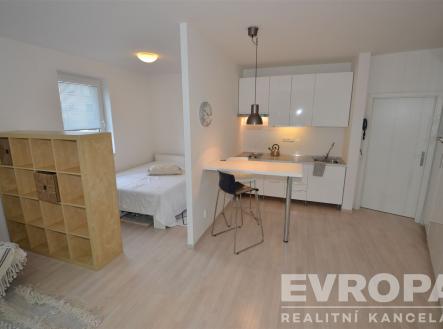 Pronájem bytu, 1+kk, 47 m²