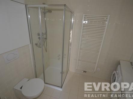 Pronájem bytu, 1+kk, 47 m²