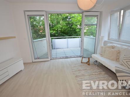 Pronájem bytu, 1+kk, 47 m²