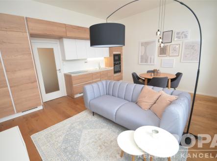 Pronájem bytu, 2+kk, 55 m²