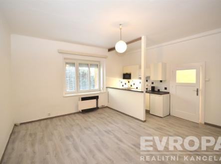 Pronájem bytu, 1+kk, 34 m²