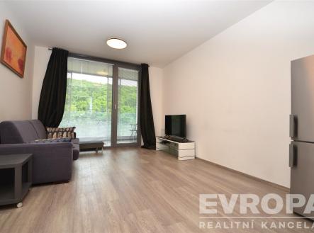 Pronájem bytu, 1+kk, 33 m²