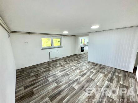 Pronájem bytu, 1+kk, 54 m²
