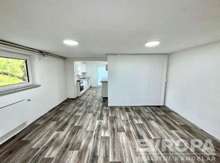 Pronájem bytu, 1+kk, 54 m²